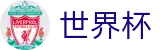 2026世界杯买球平台官方中文网